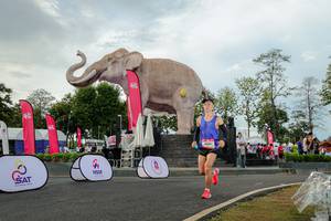 BIB: 
                            <button type="button" onclick="openModal(26528418)" class="btn btn-primary btn-sm float-right btn-popup" data-toggle="modal" data-target=".modal-high-quality">
                        <i class="fas fa-shopping-cart"></i> Add to Cart
                    </button>
                                            <button type="button" onclick="isThisMe(26528418, true)" class="btn btn-success btn-sm float-right btn-popup btn-isme hidden" data-toggle="tooltip" data-placement="bottom" title="นี่คือรูปของคุณใช่ไหม คลิกที่นี่เพื่อเอาเข้าอัลบั้ม">
                        <i class="fas fa-plus"></i> Add to album
                    </button>
                    <button type="button" onclick="isThisMe(26528418, false)" class="btn btn-warning btn-sm float-right btn-popup btn-isnotme hidden">
                        <i class="fas fa-ban"></i> Remove from album
                    </button>